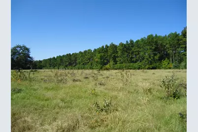 788 Fm-2781, Groveton, TX 75845 - Photo 13