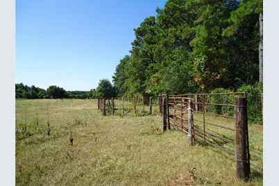 788 Fm-2781, Groveton, TX 75845 - Photo 17