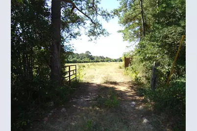 788 Fm-2781, Groveton, TX 75845 - Photo 21