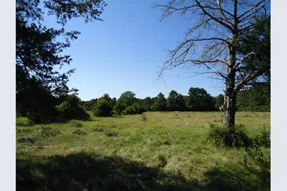 788 Fm-2781, Groveton, TX 75845 - Photo 5