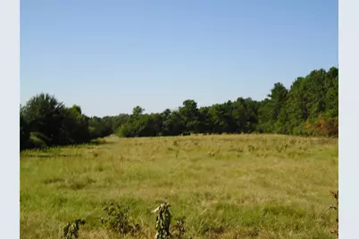788 Fm-2781, Groveton, TX 75845 - Photo 25