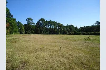788 Fm-2781, Groveton, TX 75845 - Photo 19