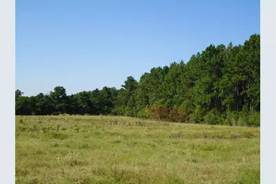 788 Fm-2781, Groveton, TX 75845 - Photo 7