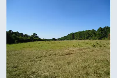 788 Fm-2781, Groveton, TX 75845 - Photo 11