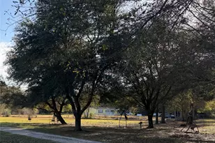 353 County Rd 381, Cleveland, TX 77328 - Photo 3