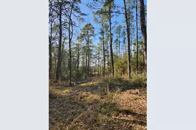 1038 Counts Rd, Point Blank, TX 77364 - Photo 3