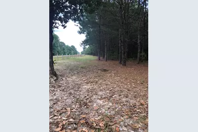 13136 Fm 943, Livingston, TX 77351 - Photo 9