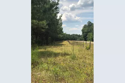 13136 Fm 943, Livingston, TX 77351 - Photo 47