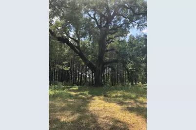 13136 Fm 943, Livingston, TX 77351 - Photo 17