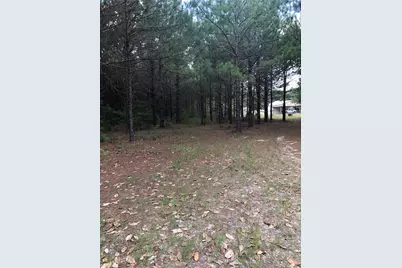 13136 Fm 943, Livingston, TX 77351 - Photo 7