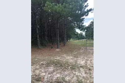 13136 Fm 943, Livingston, TX 77351 - Photo 5