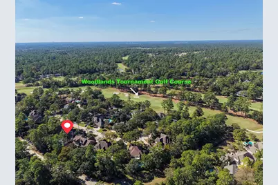 46 Rolling Links Court, The Woodlands, TX 77380 - Photo 3