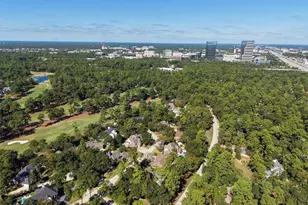 46 Rolling Links Ct, The Woodlands, TX 77380 - Photo 47
