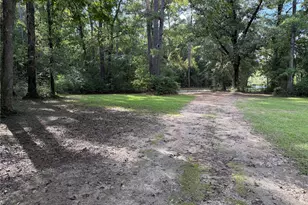 6450 Holland Rd, Kountze, TX 77625 - Photo 11