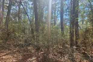 0 Tbd Indian Trail Dr, Hempstead, TX 77445 - Photo 1