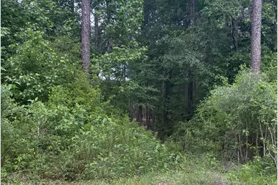 Lot 2&3 Remington Road, Huntsville, TX 77340 - Photo 9