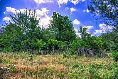 Lot 7 Wonder Hill Road, Chappell Hill, TX 77426 - Photo 5