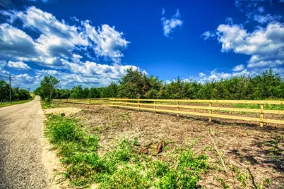 Lot 7 Wonder Hill Road, Chappell Hill, TX 77426 - Photo 13