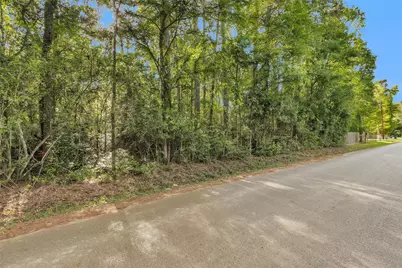 15662 Ben Wiggins, Conroe, TX 77303 - Photo 3