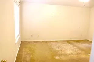 1319 Hollowood Ln, Missouri City, TX 77489 - Photo 21