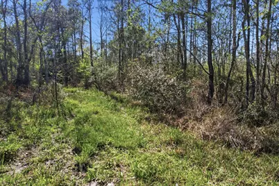 6089 Fm 834/Fm 770 E, Hull, TX 77564 - Photo 9