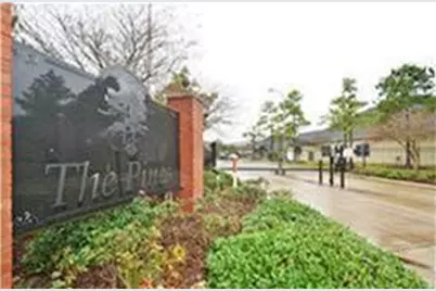 20919 Sunrise Pine View Lane, Katy, TX 77450 - Photo 21