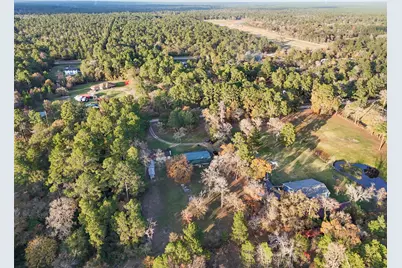 31351 Buckeye Road, Waller, TX 77484 - Photo 35