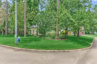 6202 Knollview Dr, Spring, TX 77389 - Photo 45