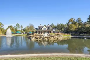 31306 Summit Grove Ln, Spring, TX 77386 - Photo 29