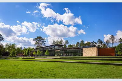 514 Tawny Rim Drive, Willis, TX 77318 - Photo 31