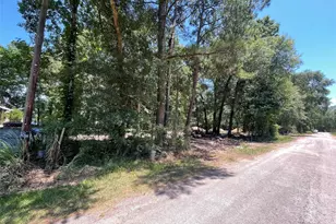 0 County Rd 3252, Cleveland, TX 77327 - Photo 1