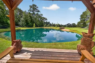 4169 Leatherwood Dr, Kountze, TX 77625 - Photo 33
