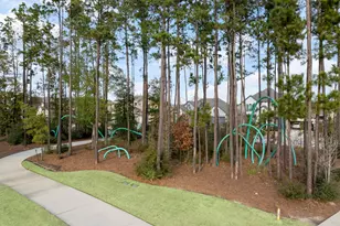 15834 Moran Meadow St, Conroe, TX 77302 - Photo 41