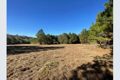 Lot 4 E Fm 942, Camden, TX 75934 - Photo 21