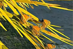 13202 Gulf Beach Dr, Freeport, TX 77541 - Photo 31