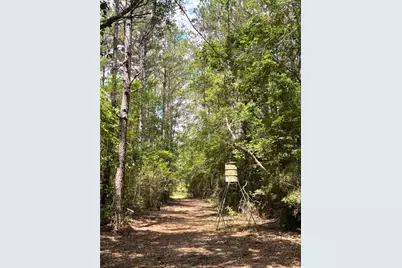 713 County Road 4525, Warren, TX 77664 - Photo 35