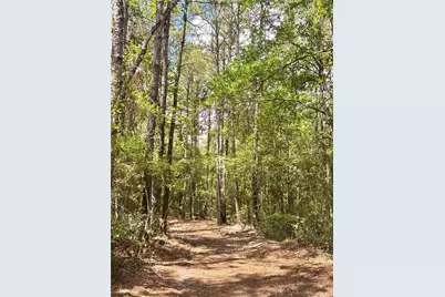 713 County Road 4525, Warren, TX 77664 - Photo 37