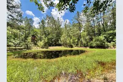 713 County Road 4525, Warren, TX 77664 - Photo 33