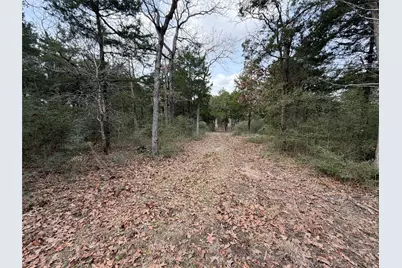Lot 1 Cr 389, Jewett, TX 75846 - Photo 33