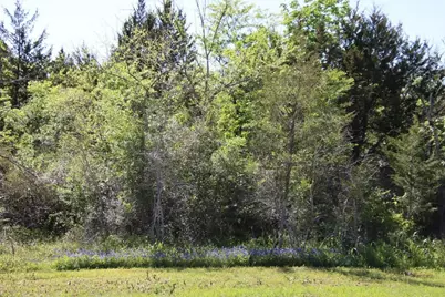 00 Chappell Reserve Drive, Chappell Hill, TX 77880 - Photo 5