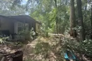 24558 Green Forest Dr, Splendora, TX 77372 - Photo 9