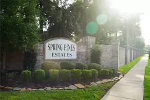 14206 Spring Pines Dr, Tomball, TX 77375 - Photo 5