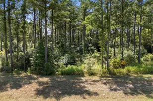 15735 Wooded Trl Wy, Willis, TX 77378 - Photo 1