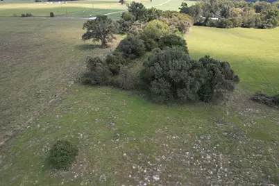 Tbd-B County Road 435, Frankston, TX 75763 - Photo 13