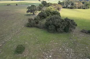 Tbd-B County Road 435, Frankston, TX 75763 - Photo 13