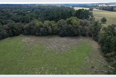 Tbd-B County Road 435, Frankston, TX 75763 - Photo 9