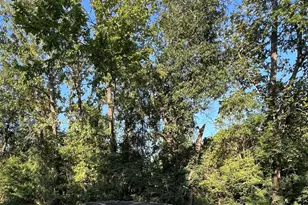 24102 Flax Ct, Tomball, TX 77375 - Photo 13