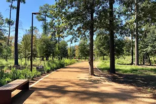 19 Crestwood Dr, Houston, TX 77007 - Photo 19