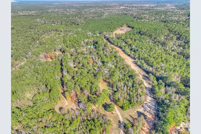 300 L Green Road, Cleveland, TX 77328 - Photo 41