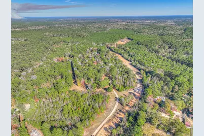300 L Green Road, Cleveland, TX 77328 - Photo 39